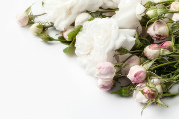 Roses