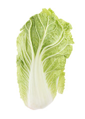 chinese cabbage isolated on white background