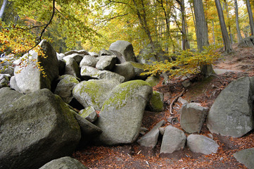 Felsenmeer im Odenwald