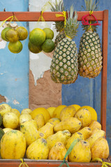 Brazilian Farmers Market Tropical Fruits