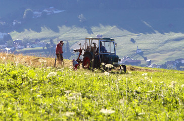 Fototapeta premium Feldarbeit Tirol