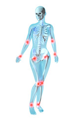 Weibliche Anatomie - Gelenkschmerzen