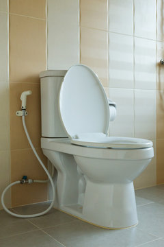 toilet bowl in house design of interior decoration