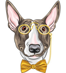 vector funny cartoon hipster dog Bullterrier - obrazy, fototapety, plakaty