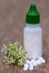 Pills made from medicinal neem flower