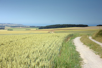 chemin de promenade