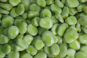 young broad beans
