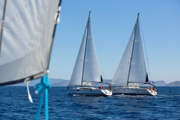Fototapeta premium Sailing ship yachts with white sails in a row.