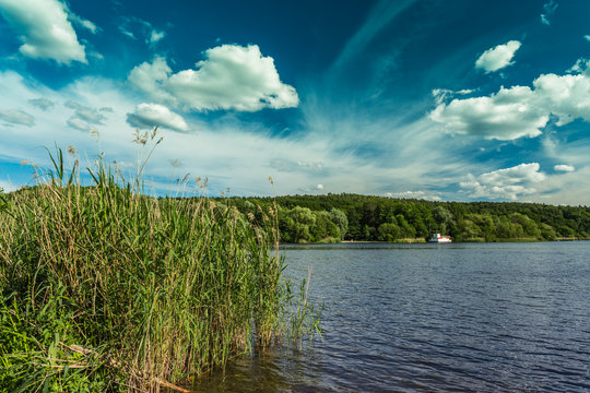 See und blauer Himmel im Berliner Grunewald