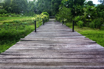 Wooden walking path