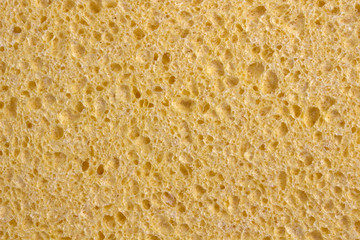 Yellow Sponge
