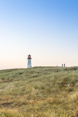 Fototapeta na wymiar Lighthouse red white on dune vertical.