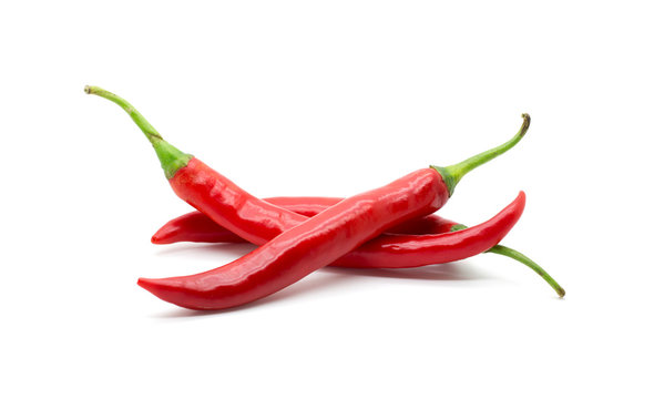 Hot red chili or chilli pepper isolated.