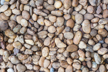 River Stone Background