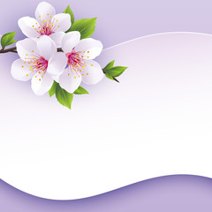 Greeting or invitation card with branch of sakura