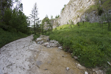 górski potok w malowniczej dolinie © Piotr Szpakowski