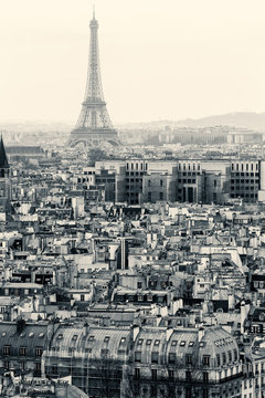 Fototapeta Aerial View of Paris with Eiffel Tower. Black and White
