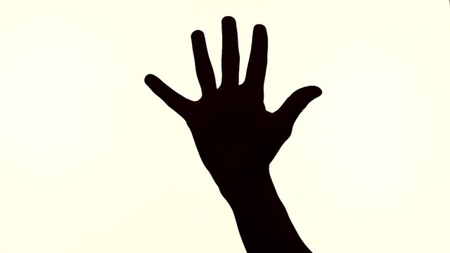 silhouette fingers