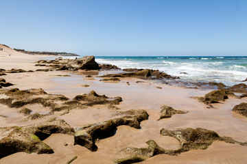 Beach on summer