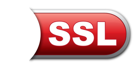 SSL ICON