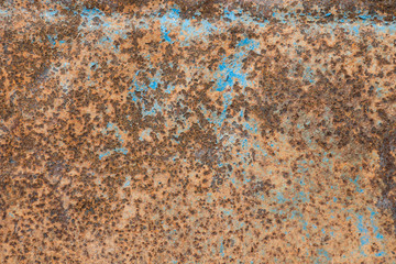 Background of Old metal plate with rush