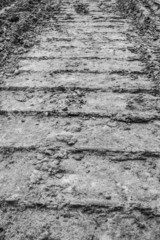 Track of a tractor on plowed field