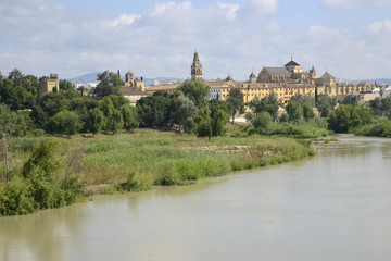 Fototapeta na wymiar Guadalquivir River as it passes through the city of Cordoba.