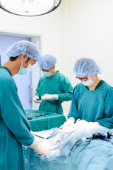 veterinarian surgeons in operation room