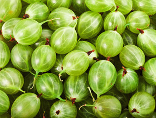 gooseberries