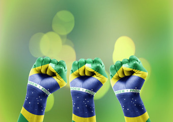 Torcida do Brasil Fundo Bokeh © AGPhotography