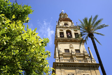 Fototapeta na wymiar Patio de los Naranjos and the tower of the Cathedral of Cordoba.