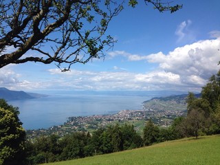 Vue de la Clairière