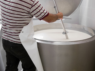 Cheese making on small farm. Artisan cheese.