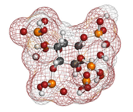 Phytic acid (hexakisphosphate, IP6, phytate) molecule.