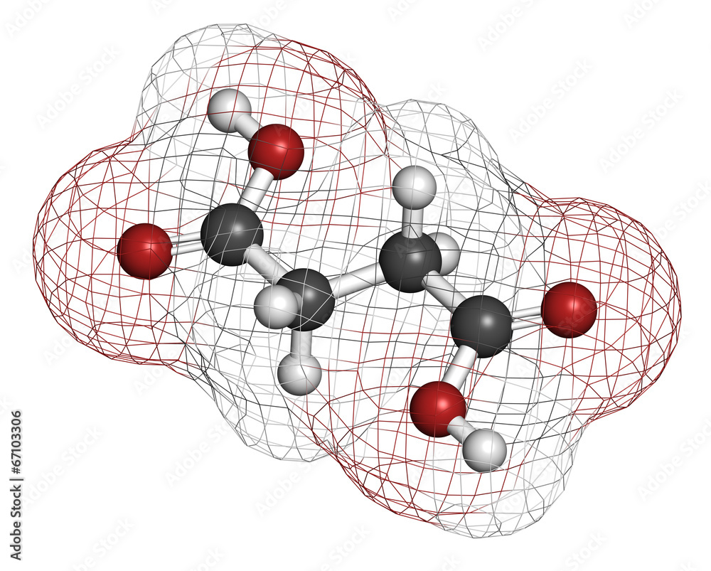 Wall mural Succinic acid (butanedioic acid, spirit of amber) molecule.