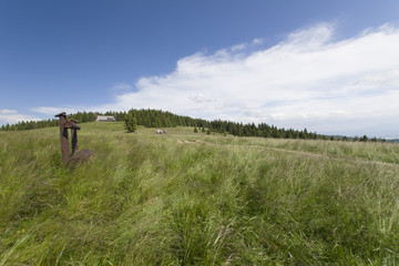 Hala Długa, Gorce, Polska © Piotr Szpakowski