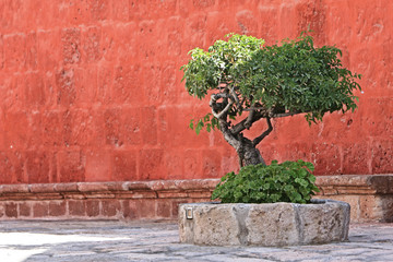 Santa Catalina Convent, Arequipa, Peru