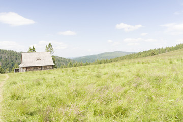 Hala Długa, Gorce, Polska © Piotr Szpakowski