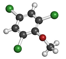 Trichloroanisole (TCA) cork taint molecule. 