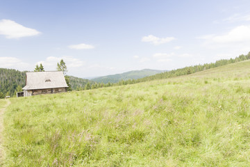 Hala Długa, Gorce, Polska © Piotr Szpakowski