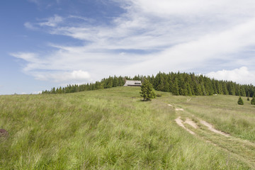 Hala Długa, Gorce, Polska © Piotr Szpakowski