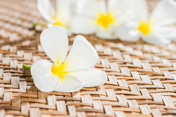 White plumeria flower on bamboo mat