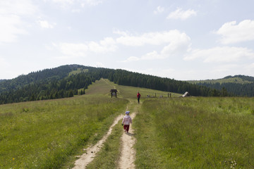 Szlak na Turbacz, Gorce, Polska - obrazy, fototapety, plakaty