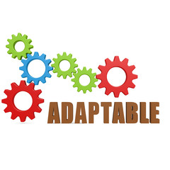 Adaptable gear