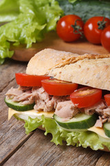 sandwich with tuna and vegetables on background of ingredients