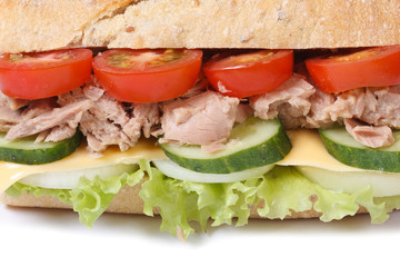 tuna sandwich with vegetables and cheese isolated macro