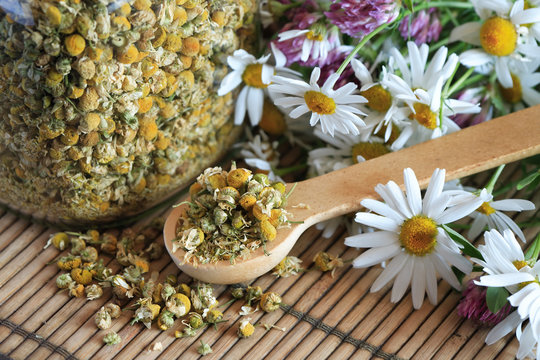 Dried Camomile