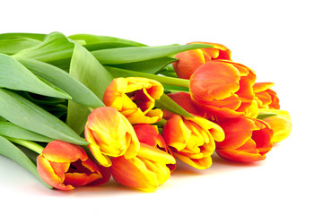 bouquet of yellow and orange tulips isolated