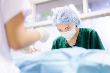 Naklejka premium veterinarian surgeons in operation room