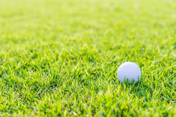 Golf ball on green grass